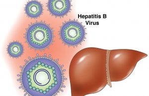 Virus de la Hepatitis B