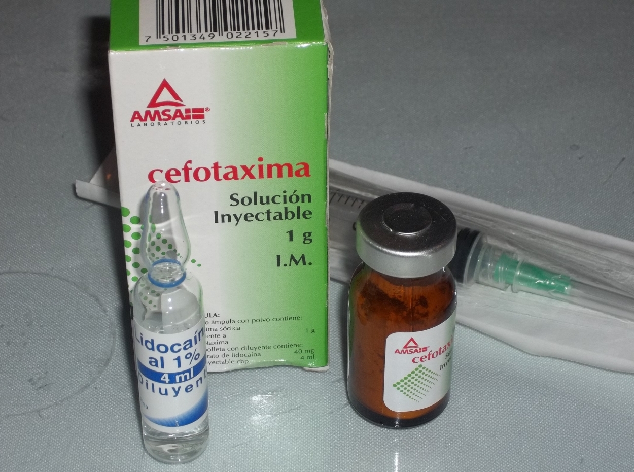Cefotaxima Saludisima Medicamentos