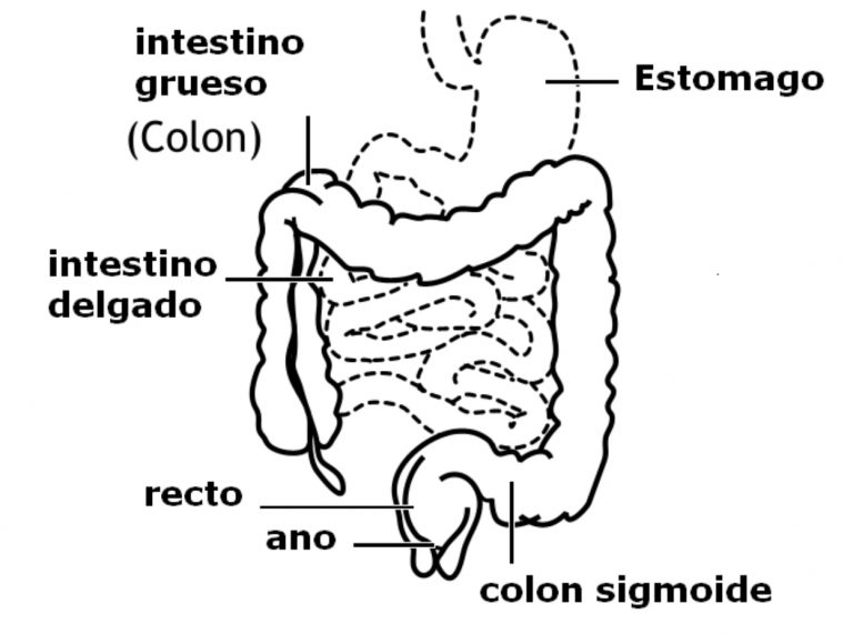 Mesalazina saludisima medicamentos